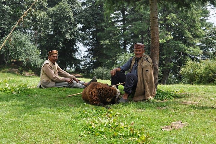 Manali Village Tour: Forest Hikes, Home Lunches & Overnight Camping photo 5