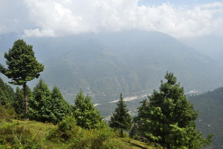Manali Village Tour: Forest Hikes, Home Lunches & Overnight Camping photo 6