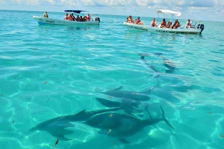 Snorkeling Sian Ka'an Biosphere: Punta Allen Day Trip from Tulum