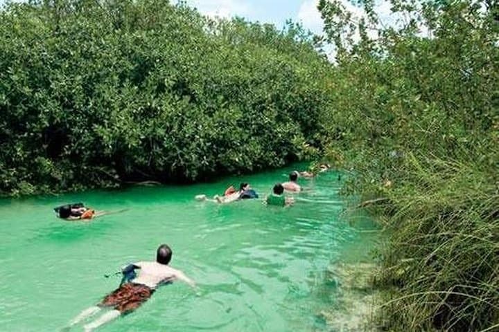 Snorkeling Sian Ka'an Biosphere: Punta Allen Day Trip from Tulum photo 4