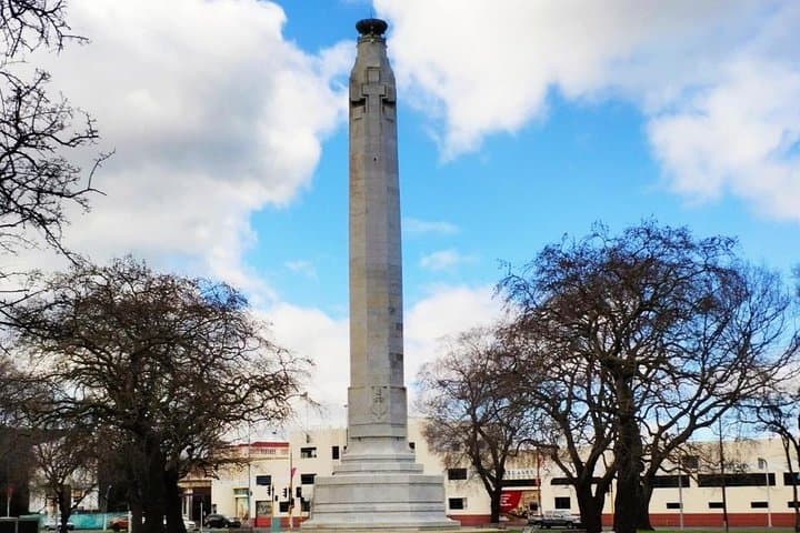 Dunedin City and Coastal Views — 3-Hour Small-Group Guided Tour photo 3
