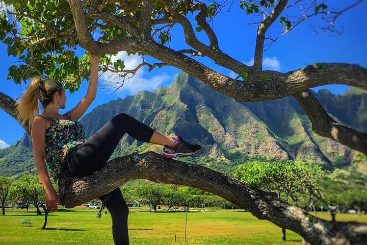 Explore Oahu’s Highlights on a 4-Hour Half Day Island Jeep Tour photo 4