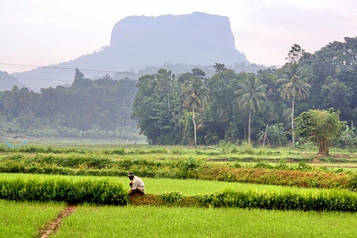 Bible Rock (Batalegala) Hike: 360° Summit Views Near Kegalle photo 5
