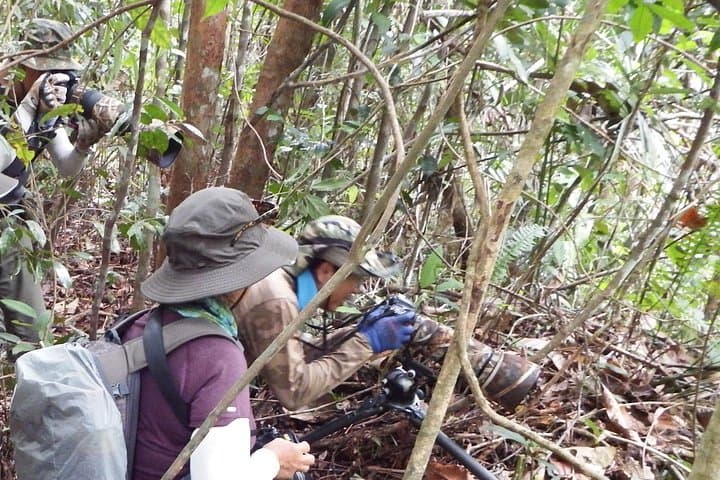Sinharaja Rain Forest: 2-Day Birding Excursion in Sri Lanka's World Heritage Reserve photo 6