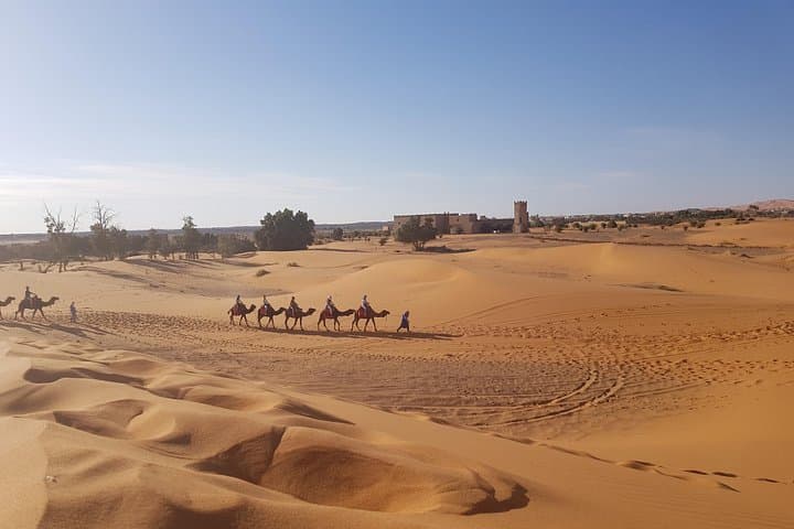 5-Day Sahara Desert Tour from Fes — Merzouga Camel Trek & Berber Camp Experience photo 4