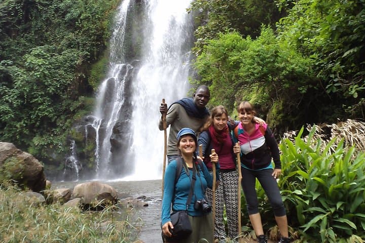 Materuni Waterfalls Daytrip from Moshi: Coffee Culture, Waterfall Swim & Kilimanjaro Views