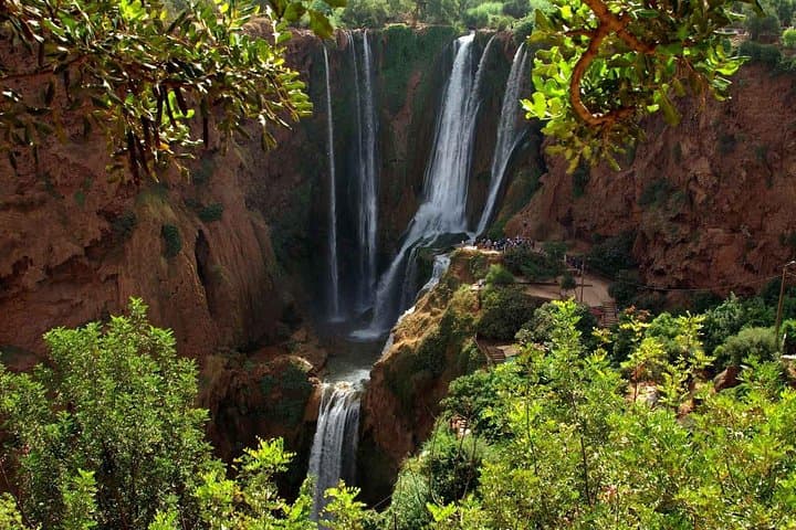Day Trip to Ouzoud Waterfalls from Marrakech — Swim, Monkeys & Valley Views photo 2