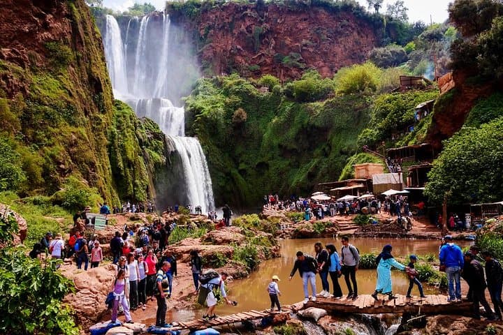Day Trip to Ouzoud Waterfalls from Marrakech — Swim, Monkeys & Valley Views photo 4