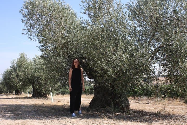 Centuries-Old Olive Grove Visit & Cornicabra Oil Tasting near Toledo photo 4