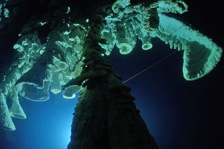 Cenotes 2-Tank Dive from Playa del Carmen — Dos Ojos & Chac-Mool Cavern Experience photo 3