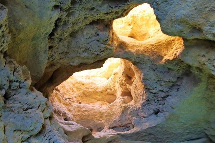 Benagil Caves & Wild Dolphin Boat Tour from Vilamoura photo 4