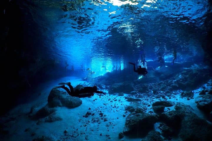 Cenotes 2-Tank Dive from Playa del Carmen — Dos Ojos & Chac-Mool Cavern Experience photo 6