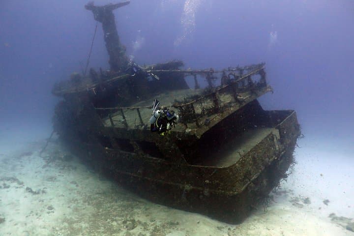 Two-Tank Reef Dives in Playa del Carmen: Morning or Afternoon Certified Dive Trips photo 4