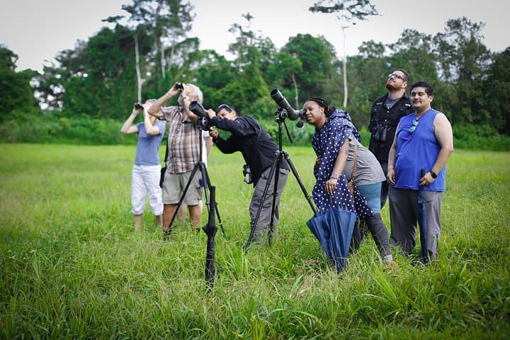 Sloth Watching Tour at Arenal: La Fortuna Wildlife Drive photo 4
