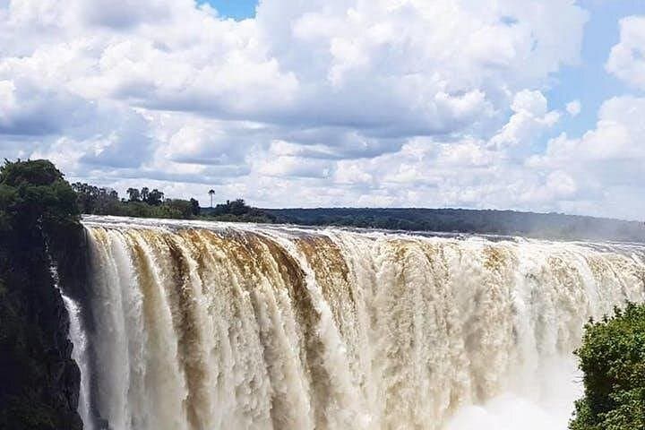 Victoria Falls Full-Day: Rainforest Walk, Zambezi Game Drive & Sunset Cruise photo 4