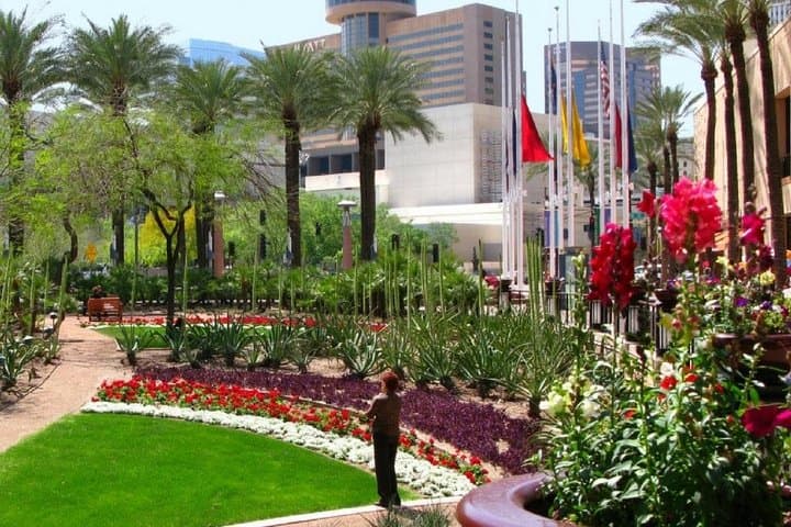 Private Phoenix & Scottsdale Half-Day City Tour — Sonoran Desert Architecture & Old Town Highlights photo 2