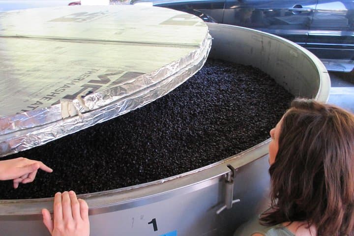 Private Napa & Sonoma 6-Hour Custom Wine Tour in a Luxury SUV photo 6