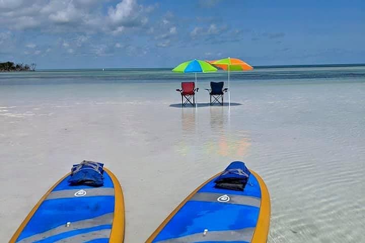 Key West Private Sandbar & Mangrove Paddle — Half-Day Boat, Kayak & SUP Adventure photo 2
