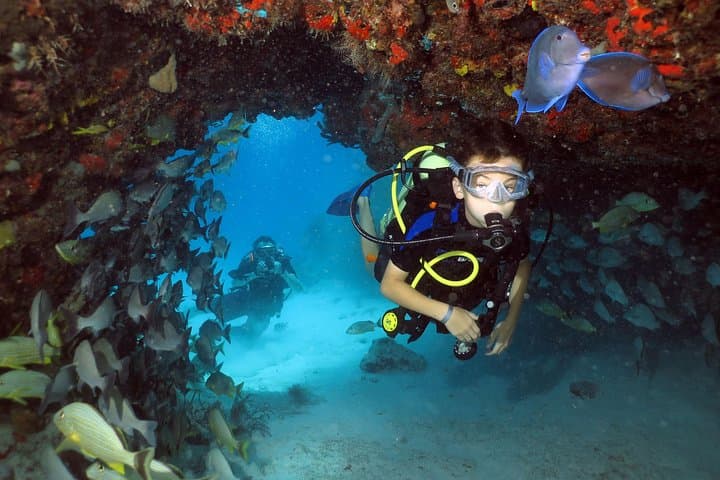 Discover Scuba Diving in Playa del Carmen: Two Shallow Coral Reef Dives
