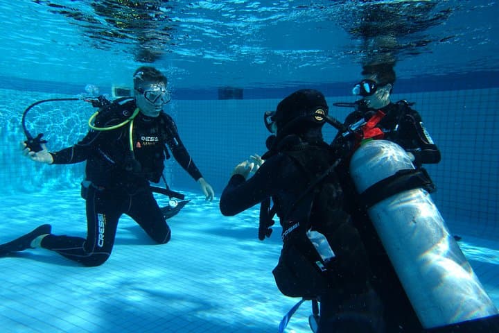 PADI Open Water Diver Course in Playa del Carmen — 2-Day Certification on the Mesoamerican Reef photo 3