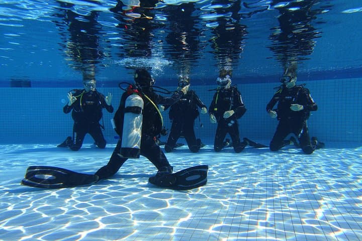PADI Open Water Diver Course in Playa del Carmen — 2-Day Certification on the Mesoamerican Reef photo 2
