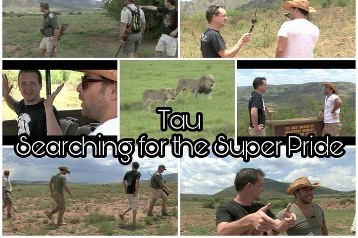 Walk with Kruger Lions: Little Lionman Steve Kelly's Expedition photo 3