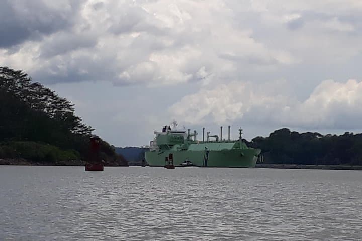 Gatun Lake & Monkey Island Rainforest Tour — Panama Canal Wildlife Cruise photo 2
