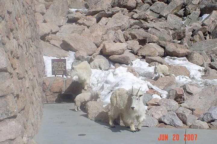 Private Red Rocks, Echo Lake & Mount Evans Day Tour from Denver photo 2
