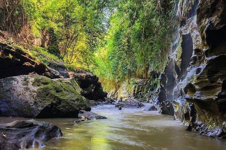 Hidden Canyon Beji Guwang and Ayung River White Water Rafting Day Trip from Ubud photo 1