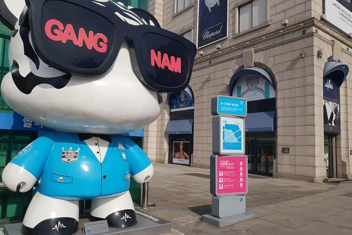 Gangnam Style Private Tour: Explore K‑Pop Landmarks, Garosu-gil & COEX photo 4