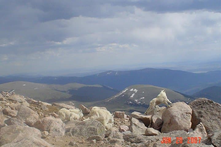 Private Red Rocks, Echo Lake & Mount Evans Day Tour from Denver photo 3