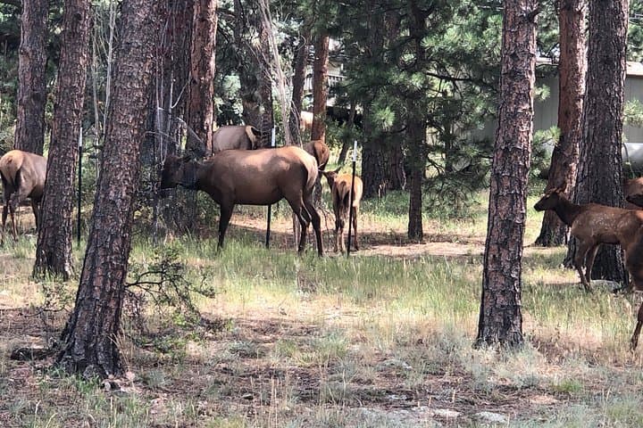 Private Red Rocks, Echo Lake & Mount Evans Day Tour from Denver photo 5