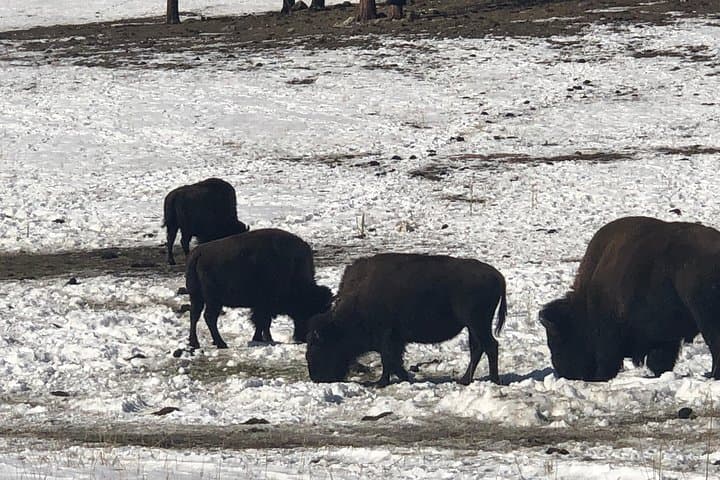 Private Red Rocks, Echo Lake & Mount Evans Day Tour from Denver photo 6