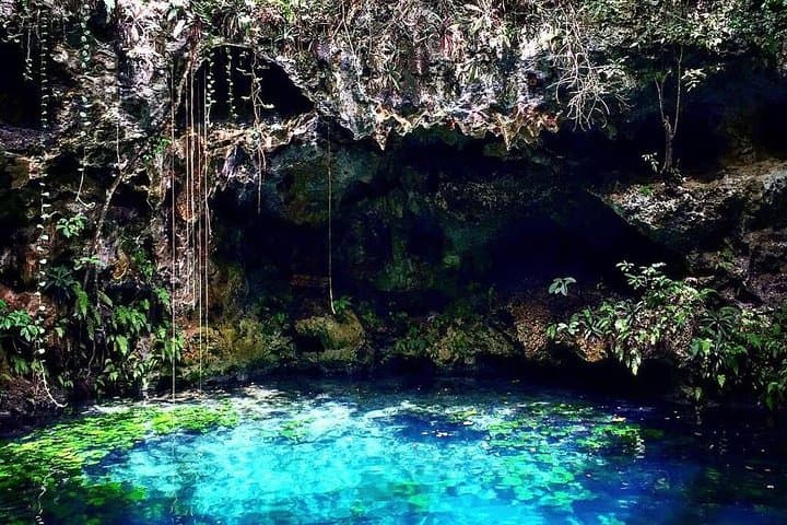 Puerto Morelos Reef & 3 Cenotes Tour — Snorkel the Mesoamerican Reef, Swim Freshwater Sinkholes, and Taste Local Tacos photo 2