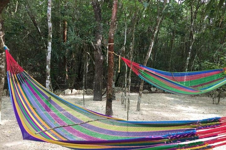 Puerto Morelos Reef & 3 Cenotes Tour — Snorkel the Mesoamerican Reef, Swim Freshwater Sinkholes, and Taste Local Tacos photo 3