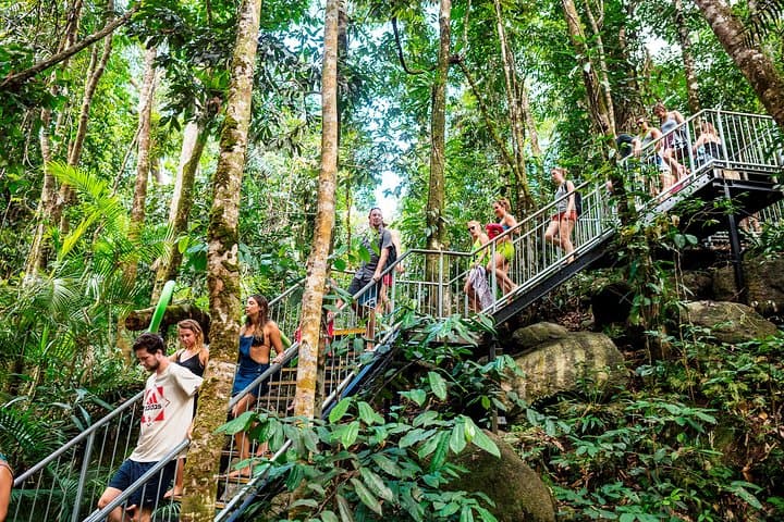 Atherton Tablelands: Falls, Forests & Crater Lakes Day Trip from Cairns photo 5