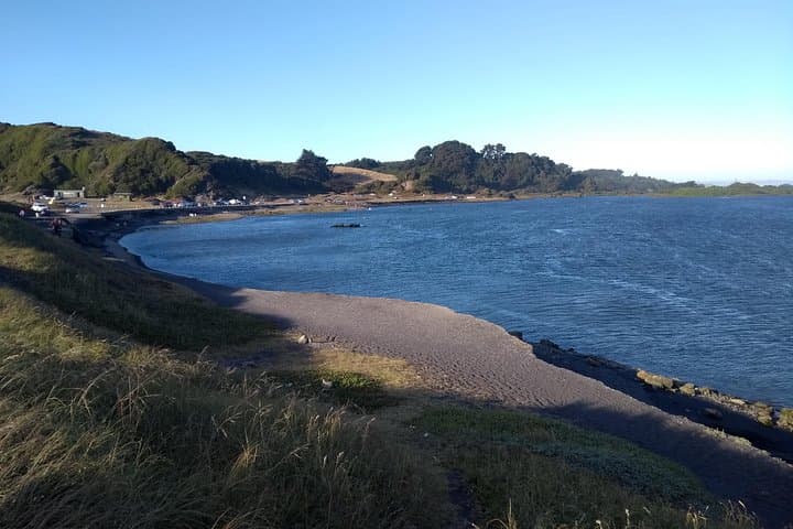 Explore Biobío River Estuary and Hidden Rocoto Beach: Concepción Day Tour photo 3