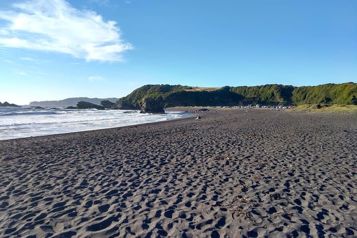 Explore Biobío River Estuary and Hidden Rocoto Beach: Concepción Day Tour