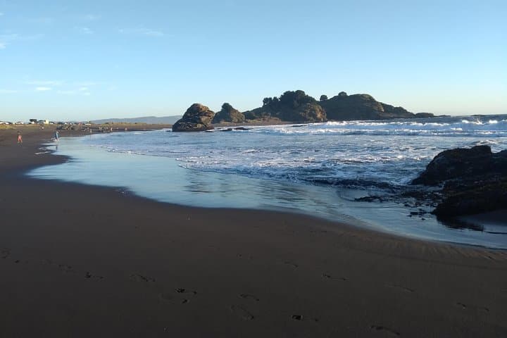 Explore Biobío River Estuary and Hidden Rocoto Beach: Concepción Day Tour photo 4