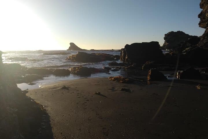 Explore Biobío River Estuary and Hidden Rocoto Beach: Concepción Day Tour photo 2