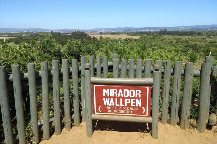 Explore Biobío River Estuary and Hidden Rocoto Beach: Concepción Day Tour photo 6
