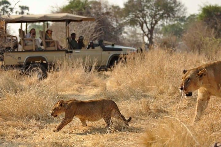 5-Day Safari and Trek: Ruaha & Udzungwa National Park Adventure