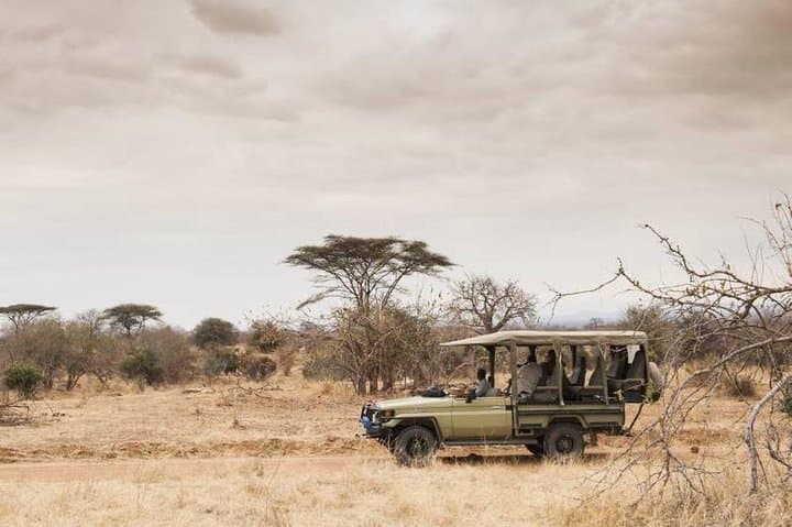 5-Day Safari and Trek: Ruaha & Udzungwa National Park Adventure photo 3