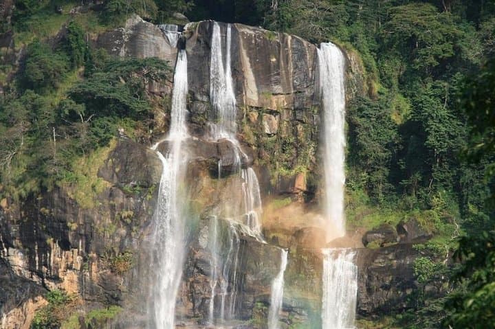 5-Day Safari and Trek: Ruaha & Udzungwa National Park Adventure photo 2