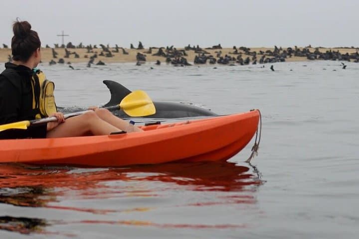 Kayak Pelican Point & Sandwich Harbour: Full-Day Guided Tour from Walvis Bay