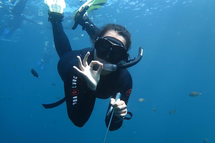 Snorkel-the-USAT-Liberty-Shipwreck-Tulamben-Day-Trip-from-Sanur photo 1