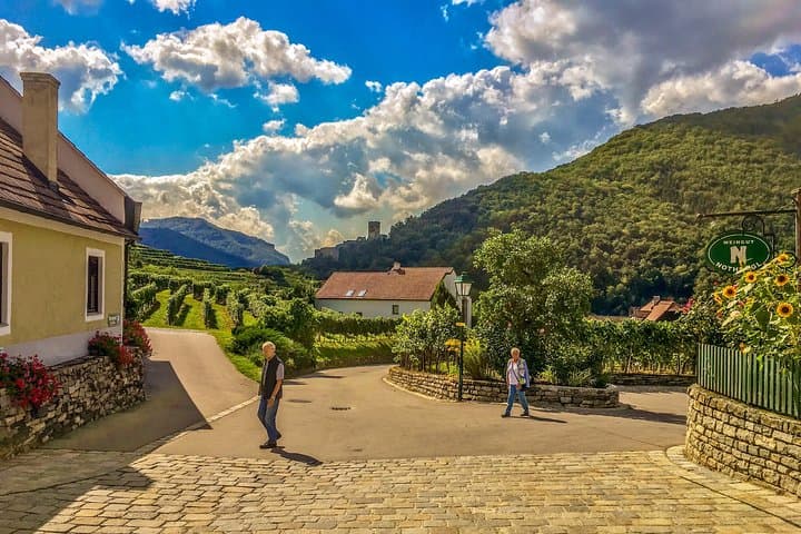 Wachau World Heritage Hike — Danube Panoramas, Vineyards & Heurigen Stops photo 2