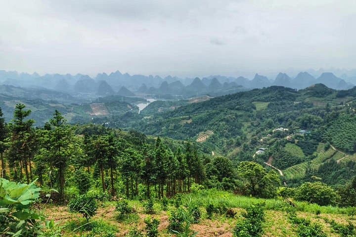 7-Day Guilin & Longji Rice Terraces Bike Adventure — Yangshuo to Ping'an photo 3