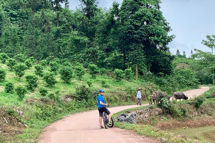 7-Day Guilin & Longji Rice Terraces Bike Adventure — Yangshuo to Ping'an photo 4