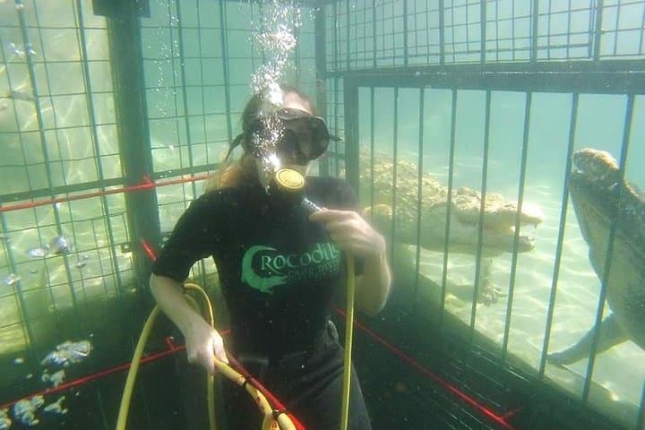 3-Day Livingstone, Victoria Falls & Chobe Safari: Crocodile Cage Dive and Zambezi Sunset Cruise photo 5